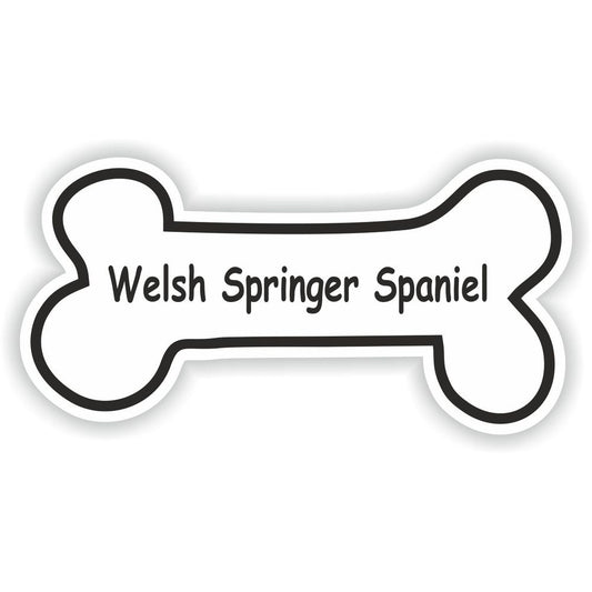 Welsh Springer Spaniel