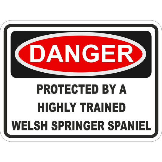Welsh Springer Spaniel