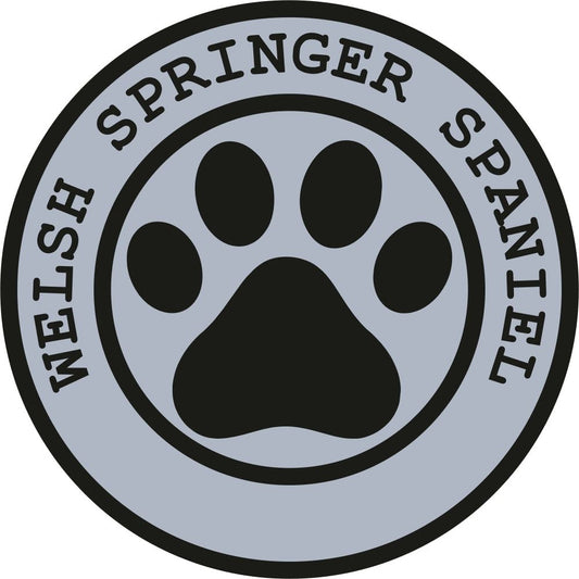 Welsh Springer Spaniel