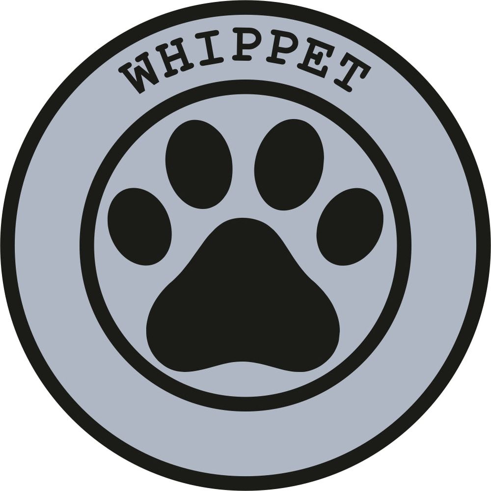 Whippet