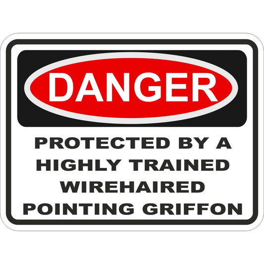 Wirehaired Pointing Griffon