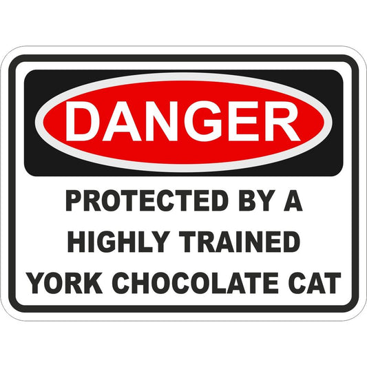York Chocolate Cat