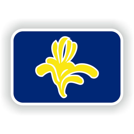 Brussels Flag