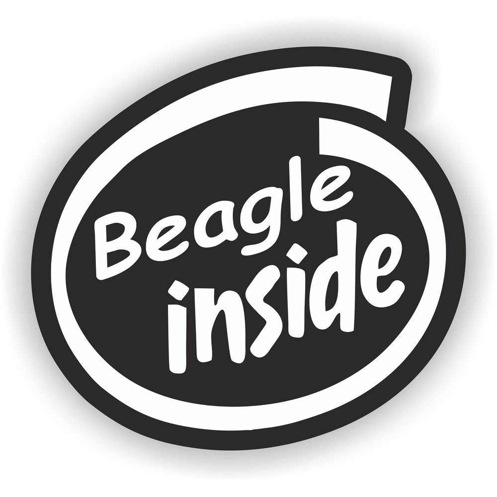 Beagle Inside Dog