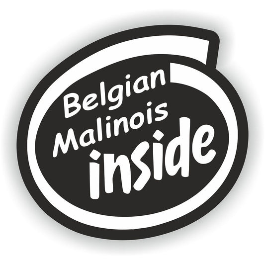 Belgian Malinois Inside Dog