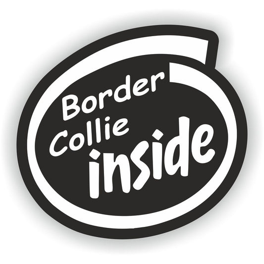 Border Collie Inside Dog