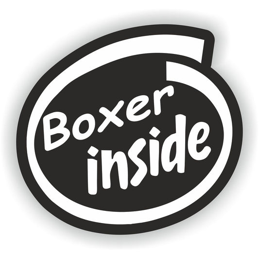 Boxer Inside Dog