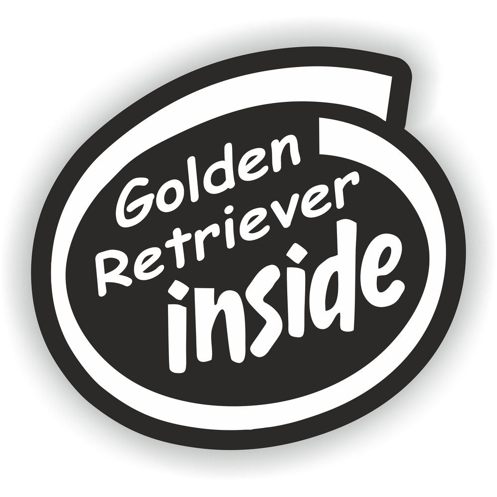Golden Retriever Inside Dog