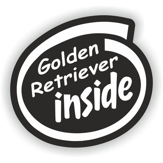 Golden Retriever Inside Dog