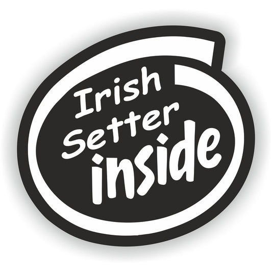 Irish Setter Inside Dog
