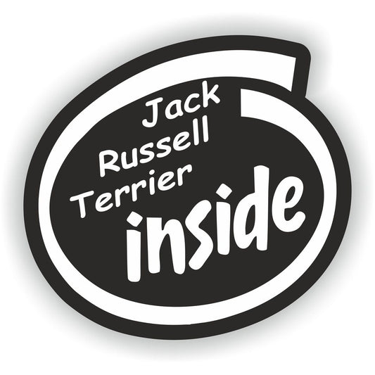 Jack Russell Terrier Inside Dog