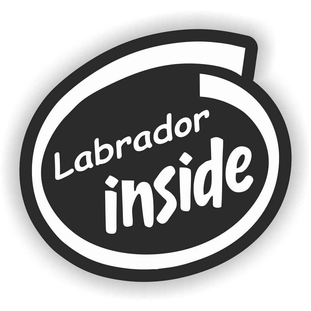 Labrador Inside Dog