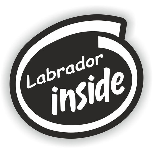 Labrador Inside Dog