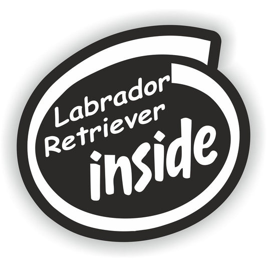 Labrador Retriever Inside Dog