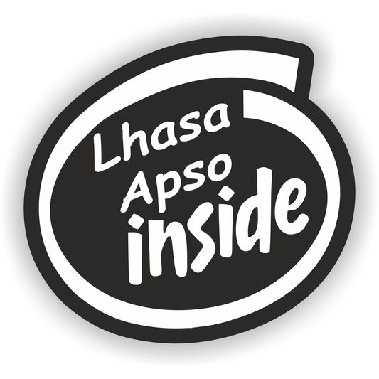 Lhasa Apso Inside Dog