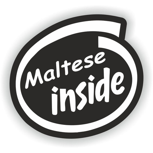 Maltese Inside Dog
