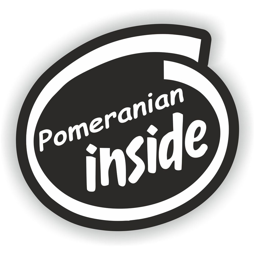 Pomeranian Dog