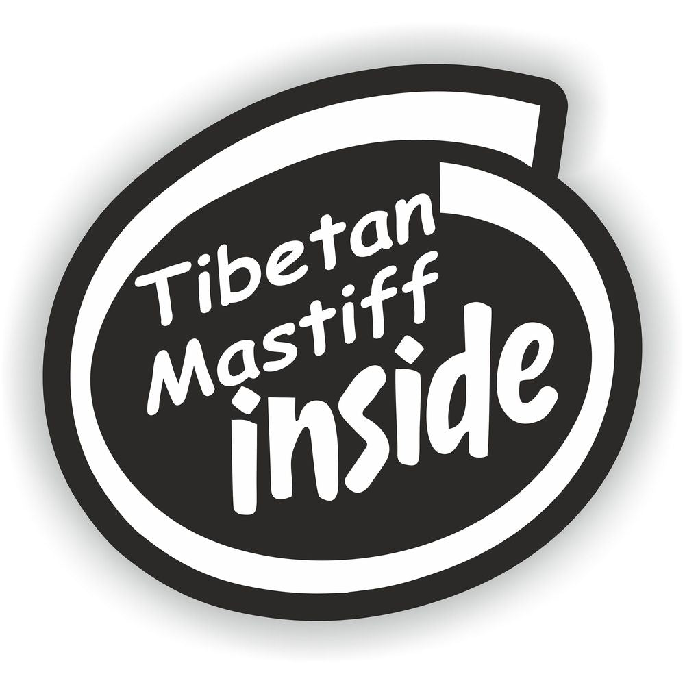 Tibetan Mastiff Dog