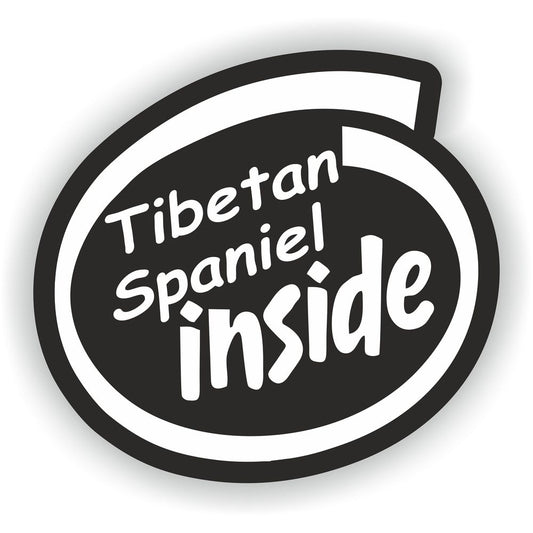 Tibetan Spaniel Dog