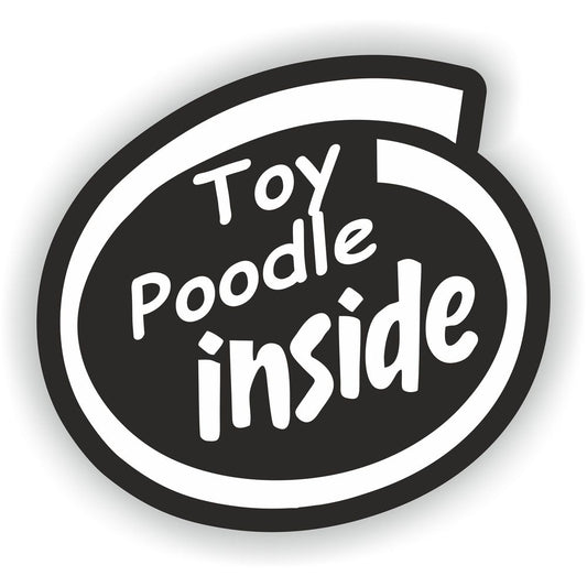 Toy Poodle Dog
