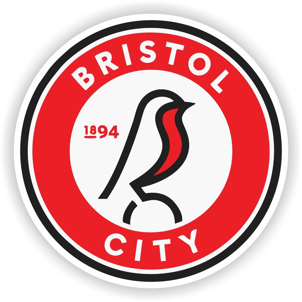 Bristol City Seal Round Flag
