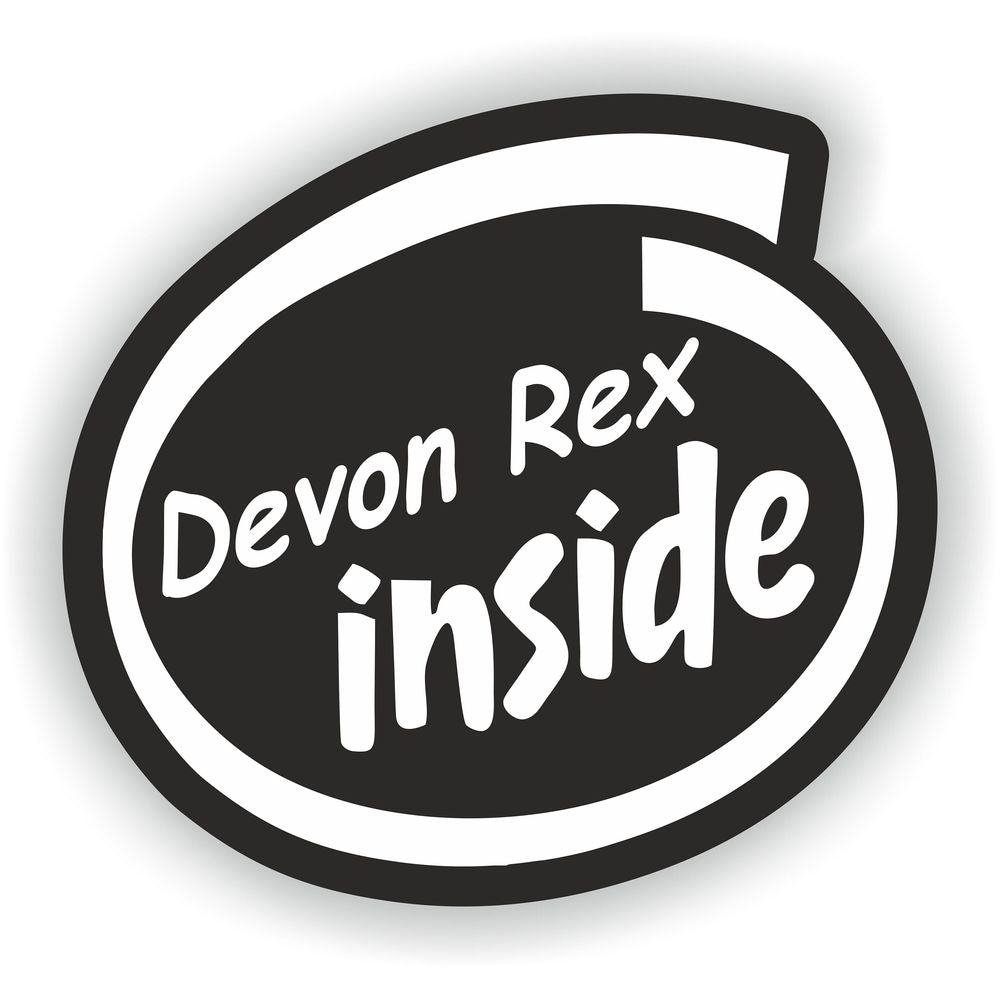 Devon Rex Inside Dog