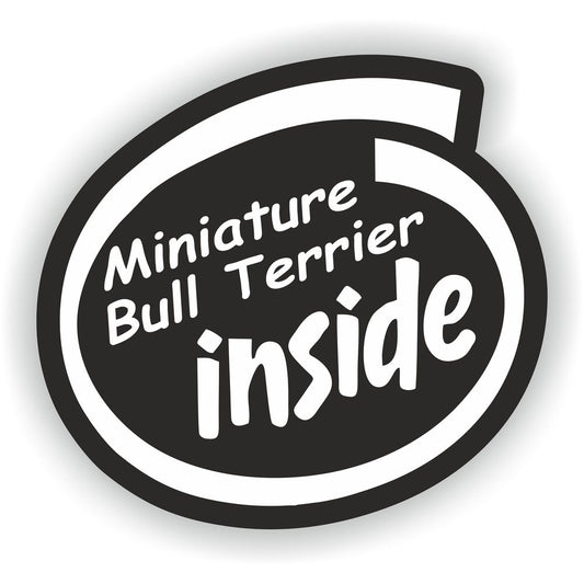 Miniature Bull Terrier Inside Dog