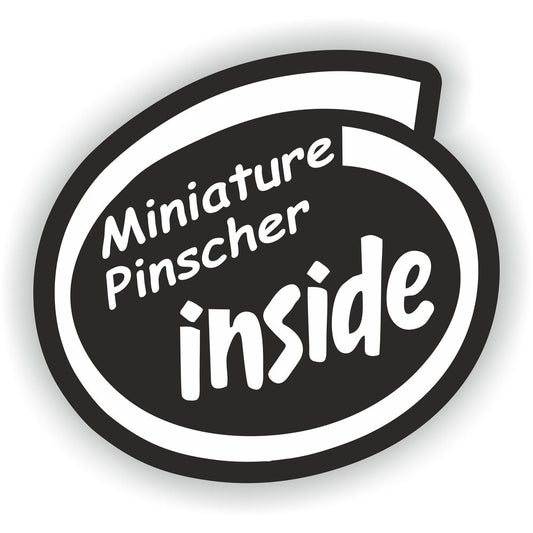 Miniature Pinscher Inside Dog