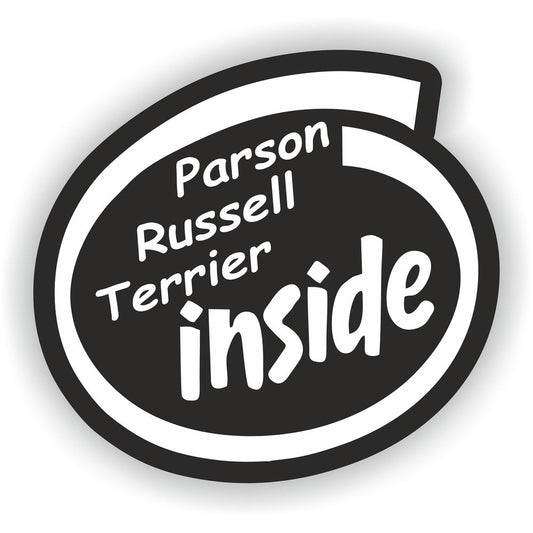 Parson Russell Terrier Inside Dog