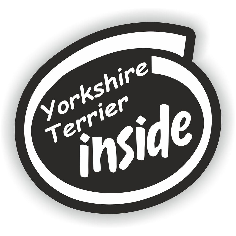 Yorkshire Terrier Dog
