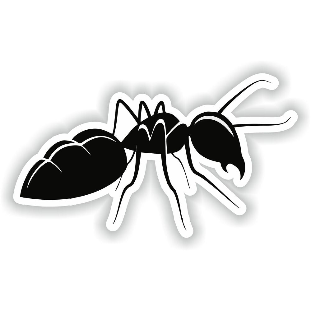 Ant #02