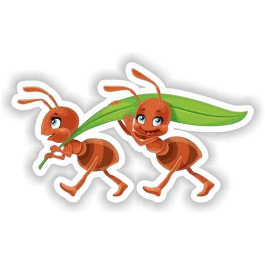 Ants #01