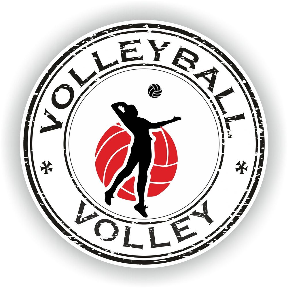 Volleyball Sports