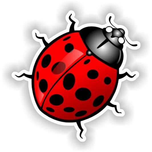 Ladybug Ladybird #03