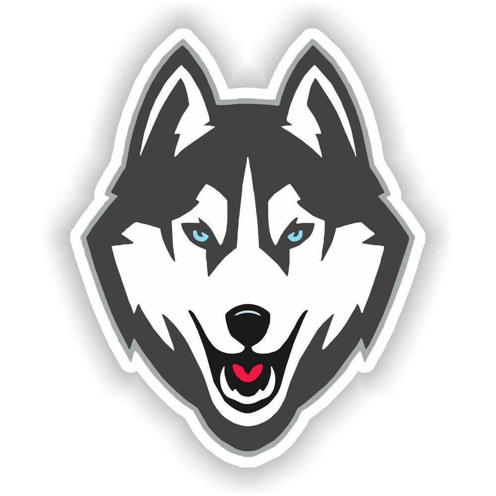 Husky #01