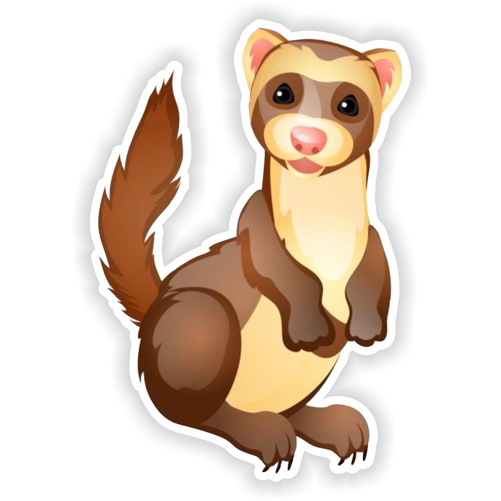 Ferret Smiling Funny
