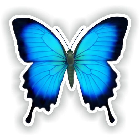 Butterfly #02