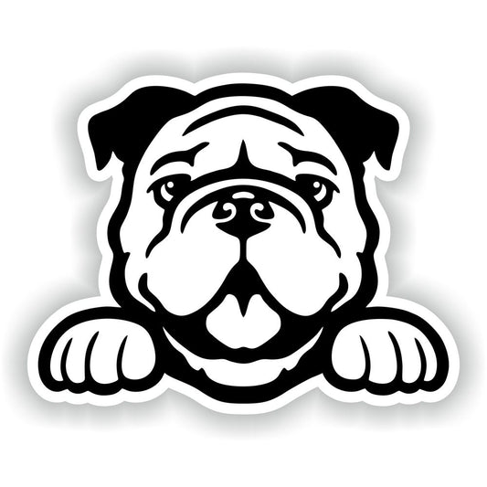 Bulldog #02
