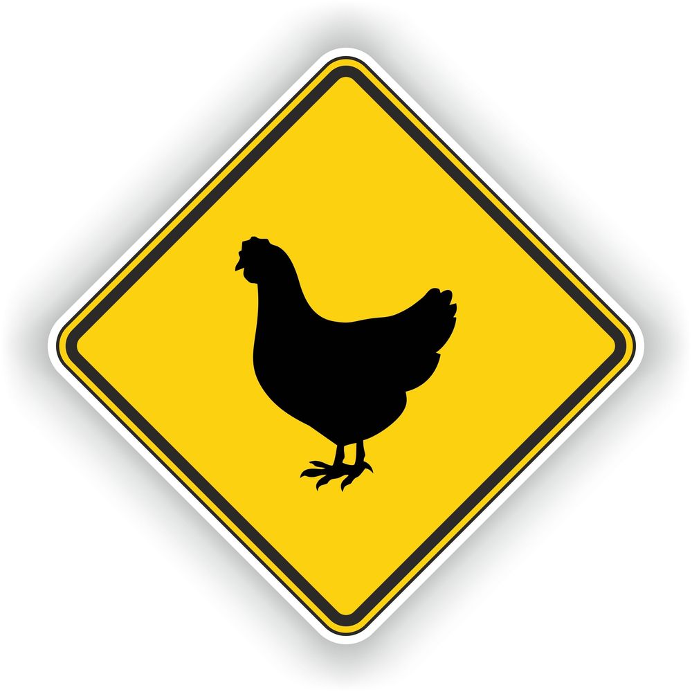 Hen