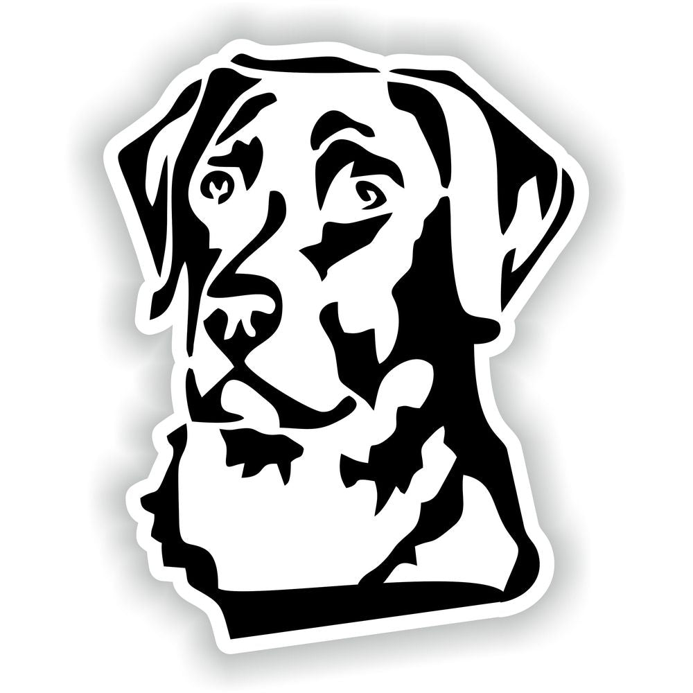 Labrador Golden Retriever