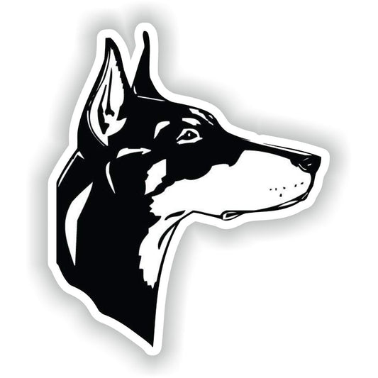 Doberman