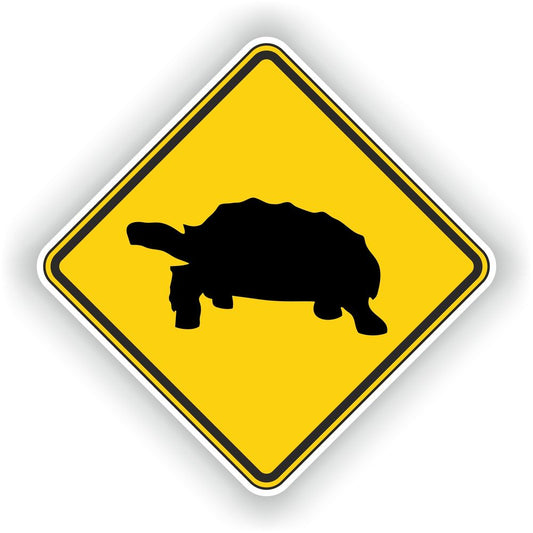 Tortoise Turtle Warning