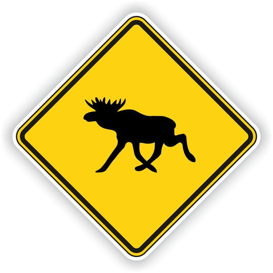 Moose